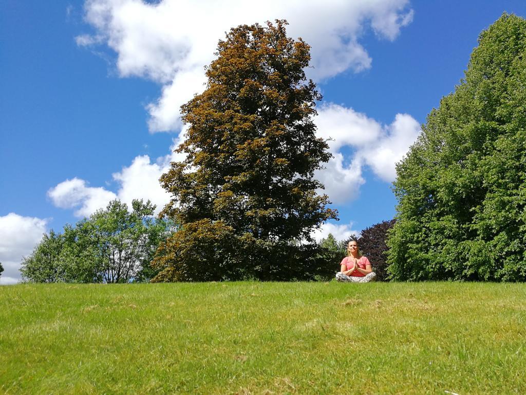Affittacamere Naeaes Slott Floda  Esterno foto